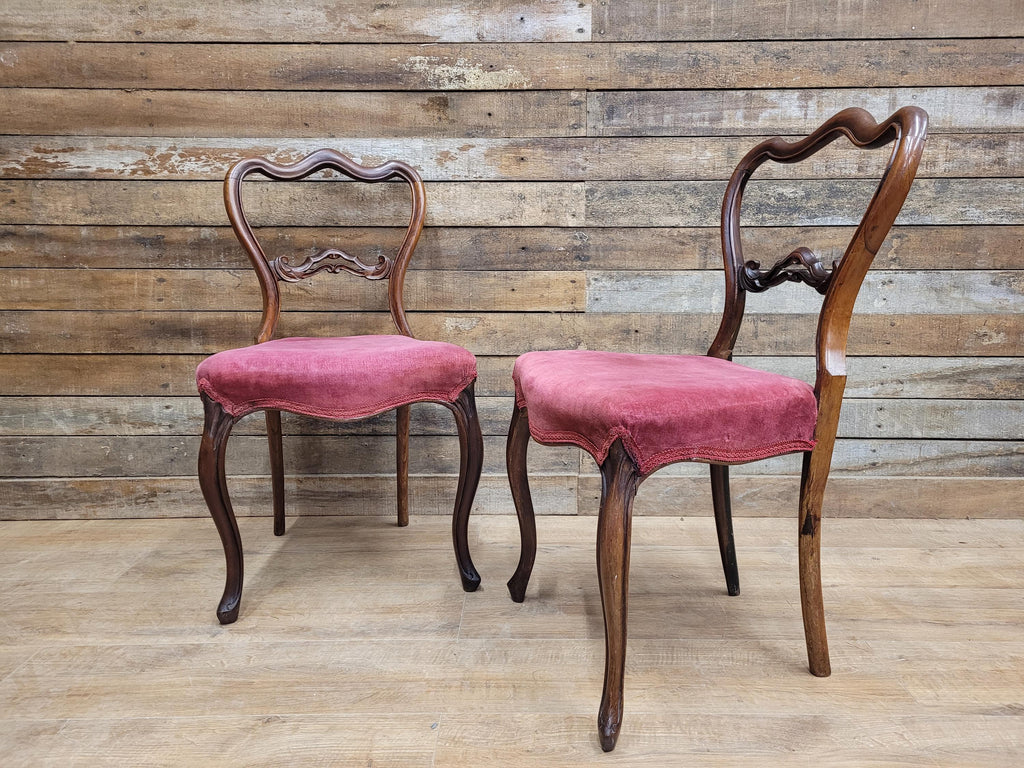 Pair Of Antique Victorian Mahogany Carved Balloon Back Salon Chairs Bedroom Hall