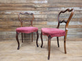Pair Of Antique Victorian Mahogany Carved Balloon Back Salon Chairs Bedroom Hall