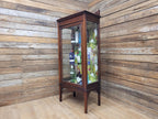 Antique Edwardian Inlaid Glazed Display Cabinet Butterfly Backed Drinks Cabinet