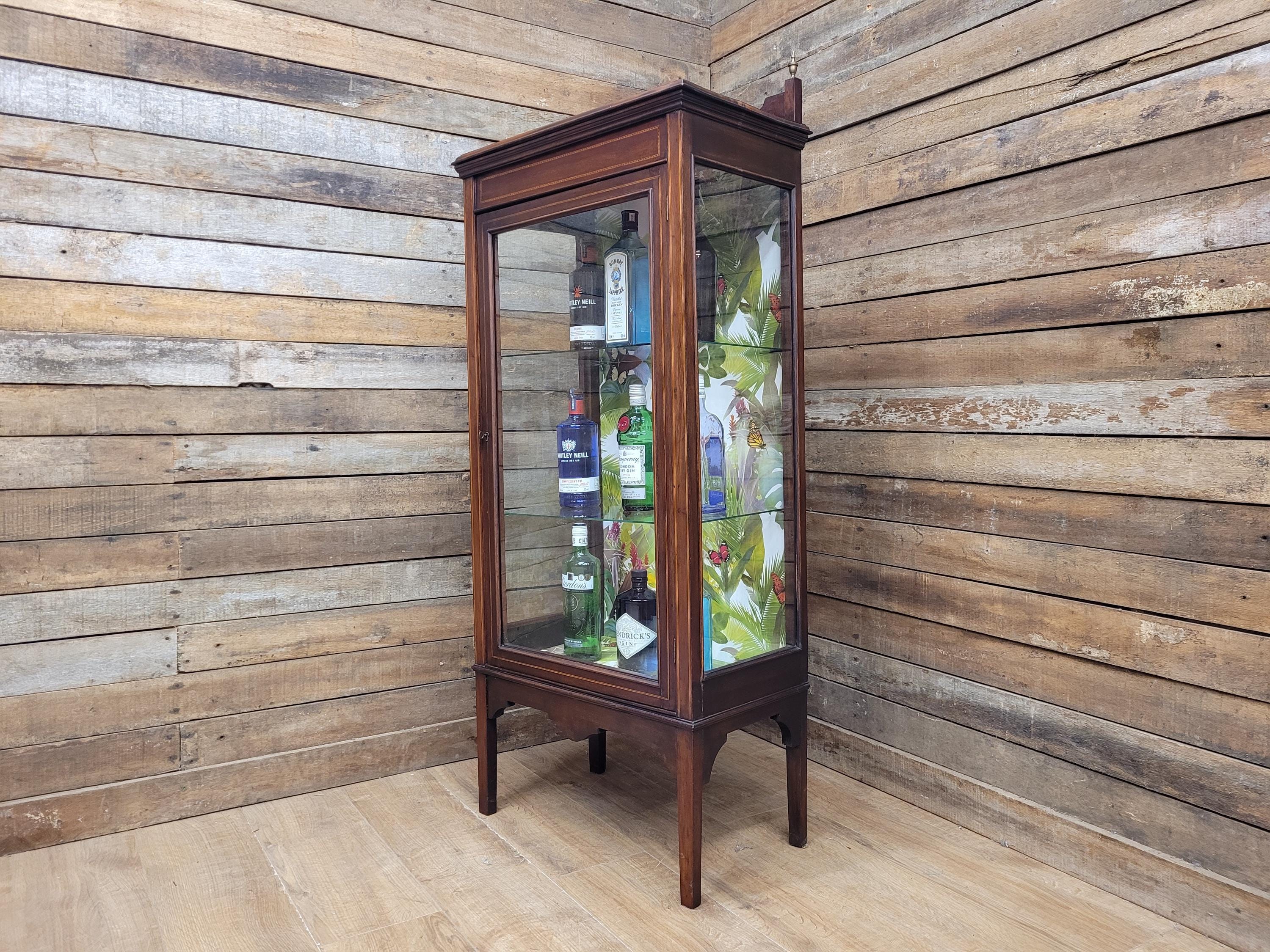 Antique Edwardian Inlaid Glazed Display Cabinet Butterfly Backed Drinks Cabinet
