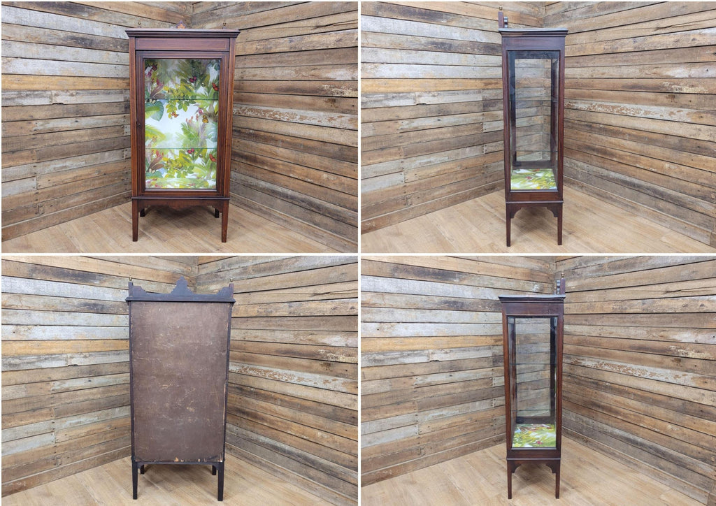 Antique Edwardian Inlaid Glazed Display Cabinet Butterfly Backed Drinks Cabinet