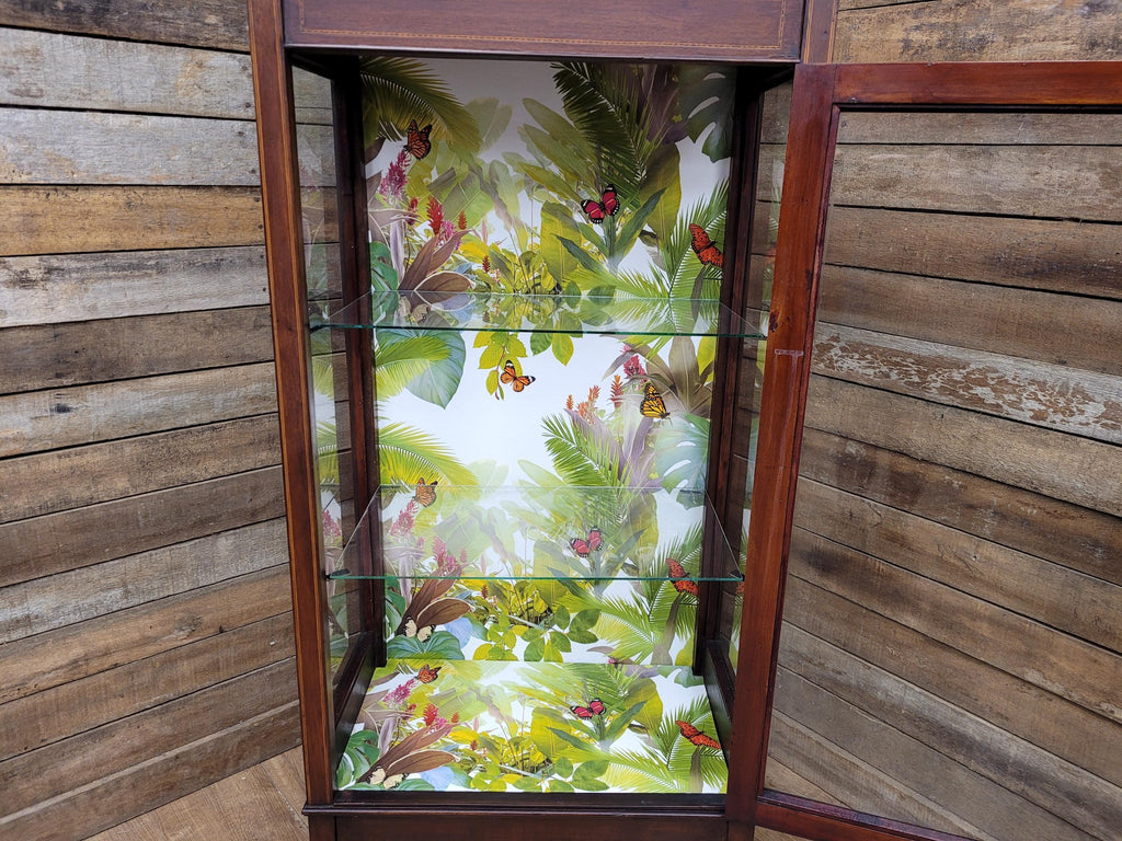 Antique Edwardian Inlaid Glazed Display Cabinet Butterfly Backed Drinks Cabinet