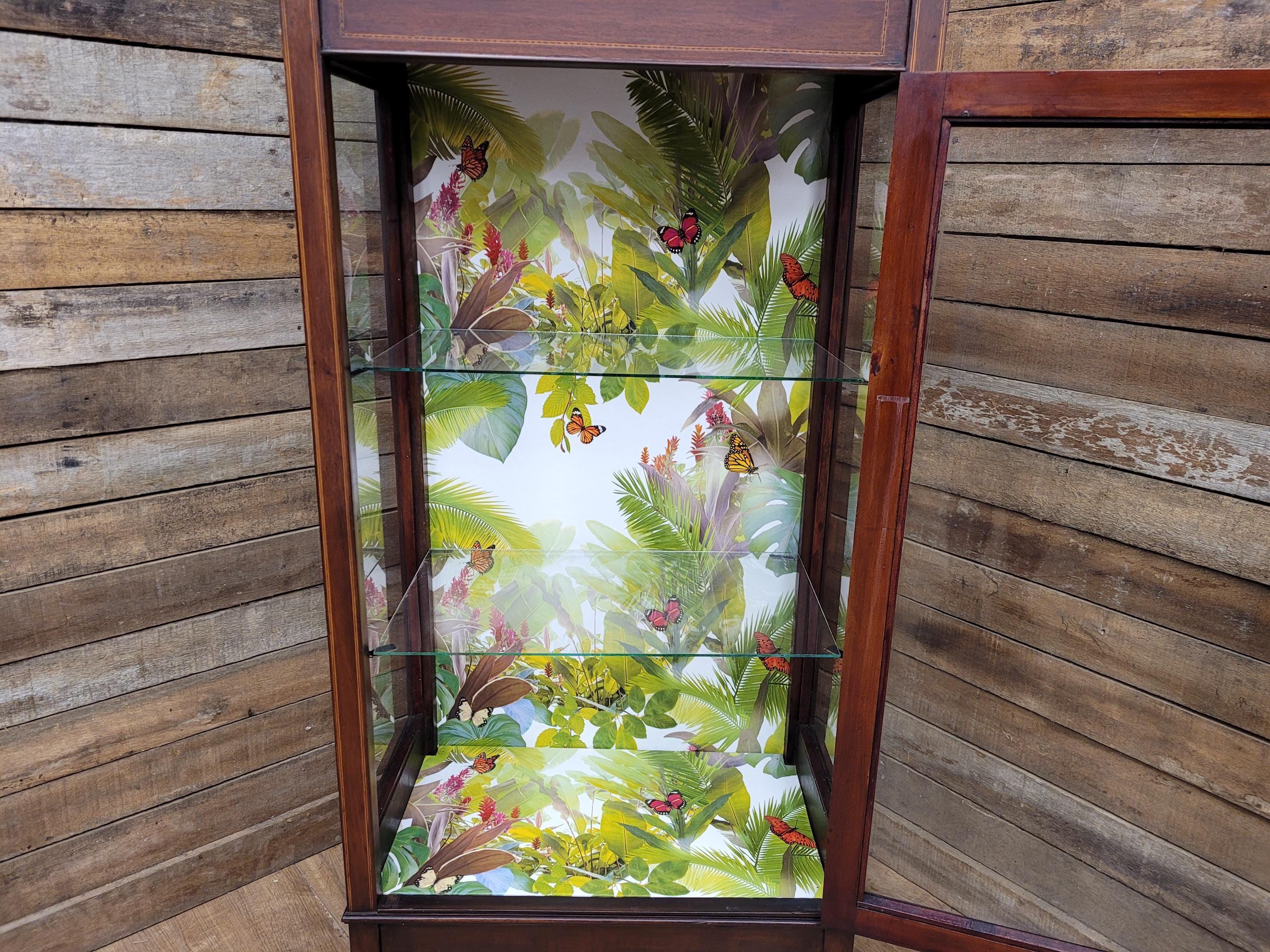 Antique Edwardian Inlaid Glazed Display Cabinet Butterfly Backed Drinks Cabinet