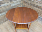 Mid Century Danish Inspired Oval Drop Leaf Teak Drinks Cocktail Trolley Retro