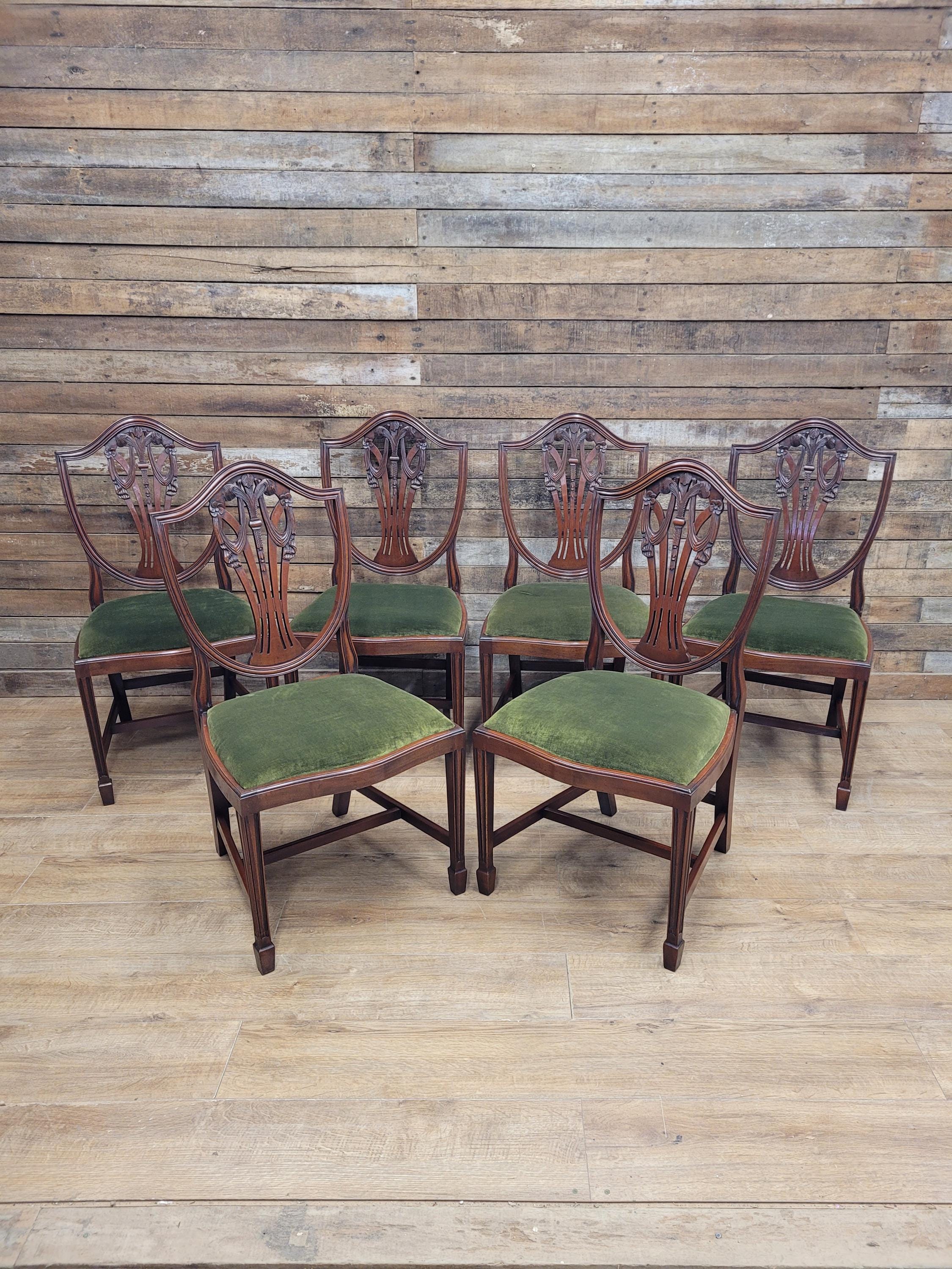 Prince Of Wales Hepplewhite Dining Chairs Mahogany Set Six Shield Back
