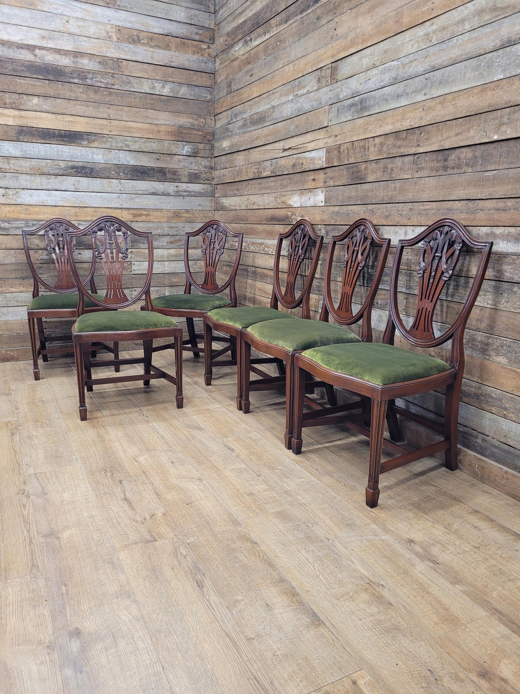 Prince Of Wales Hepplewhite Dining Chairs Mahogany Set Six Shield Back