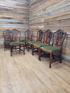 Prince Of Wales Hepplewhite Dining Chairs Mahogany Set Six Shield Back
