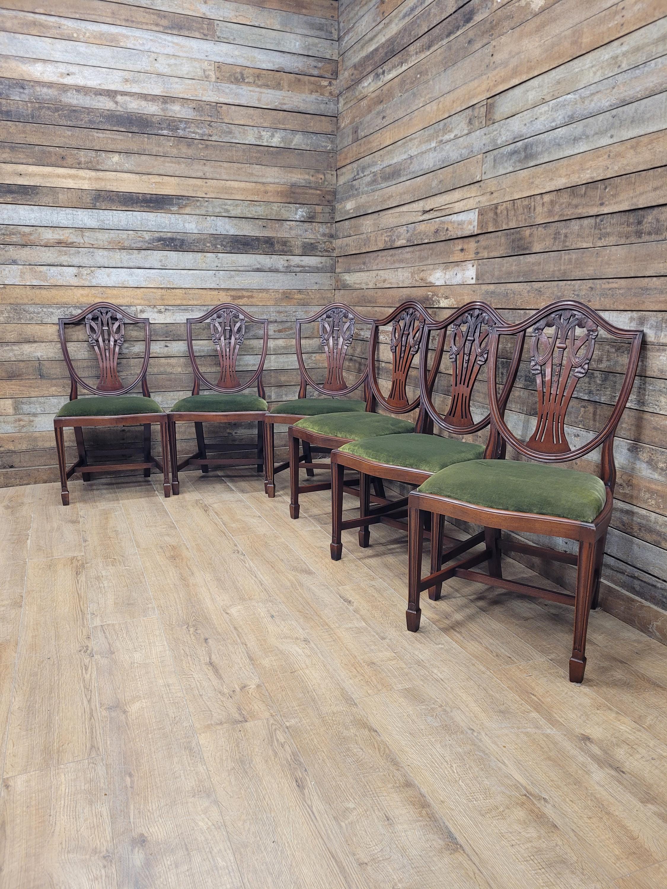 Prince Of Wales Hepplewhite Dining Chairs Mahogany Set Six Shield Back