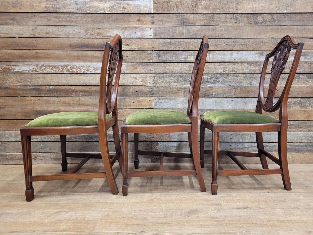 Prince Of Wales Hepplewhite Dining Chairs Mahogany Set Six Shield Back
