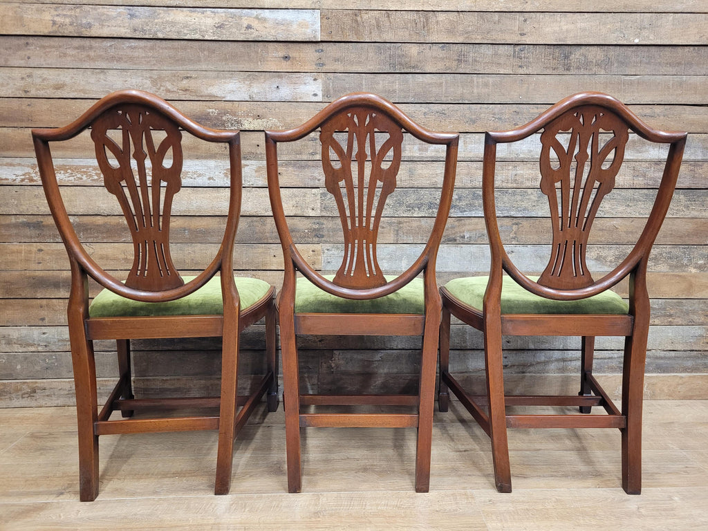 Prince Of Wales Hepplewhite Dining Chairs Mahogany Set Six Shield Back