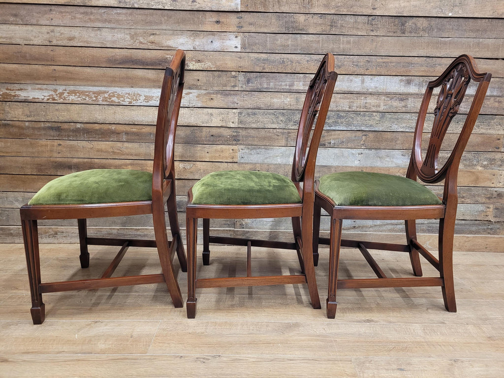 Prince Of Wales Hepplewhite Dining Chairs Mahogany Set Six Shield Back