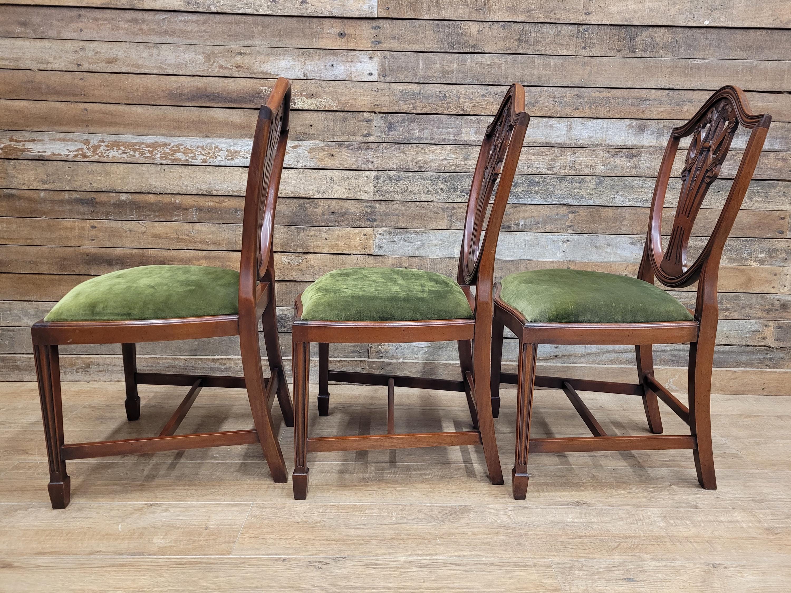 Prince Of Wales Hepplewhite Dining Chairs Mahogany Set Six Shield Back