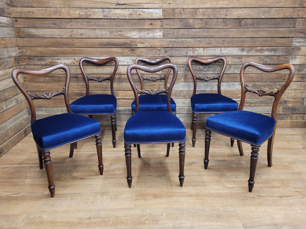 Six Mahogany Victorian Dining Chairs Balloon Back Blue Velvet Upholstered
