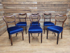 Six Mahogany Victorian Dining Chairs Balloon Back Blue Velvet Upholstered