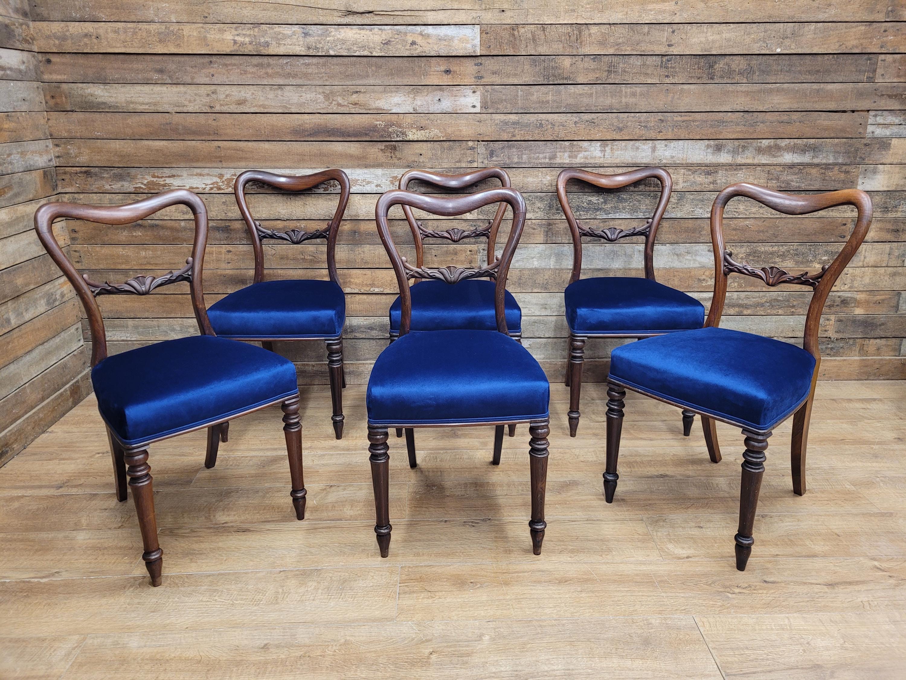 Six Mahogany Victorian Dining Chairs Balloon Back Blue Velvet Upholstered