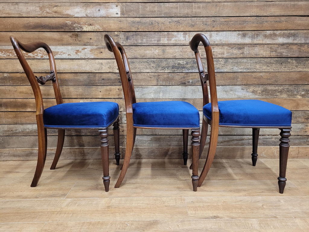 Six Mahogany Victorian Dining Chairs Balloon Back Blue Velvet Upholstered