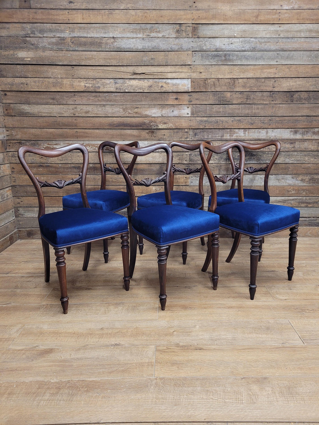 Six Mahogany Victorian Dining Chairs Balloon Back Blue Velvet Upholstered
