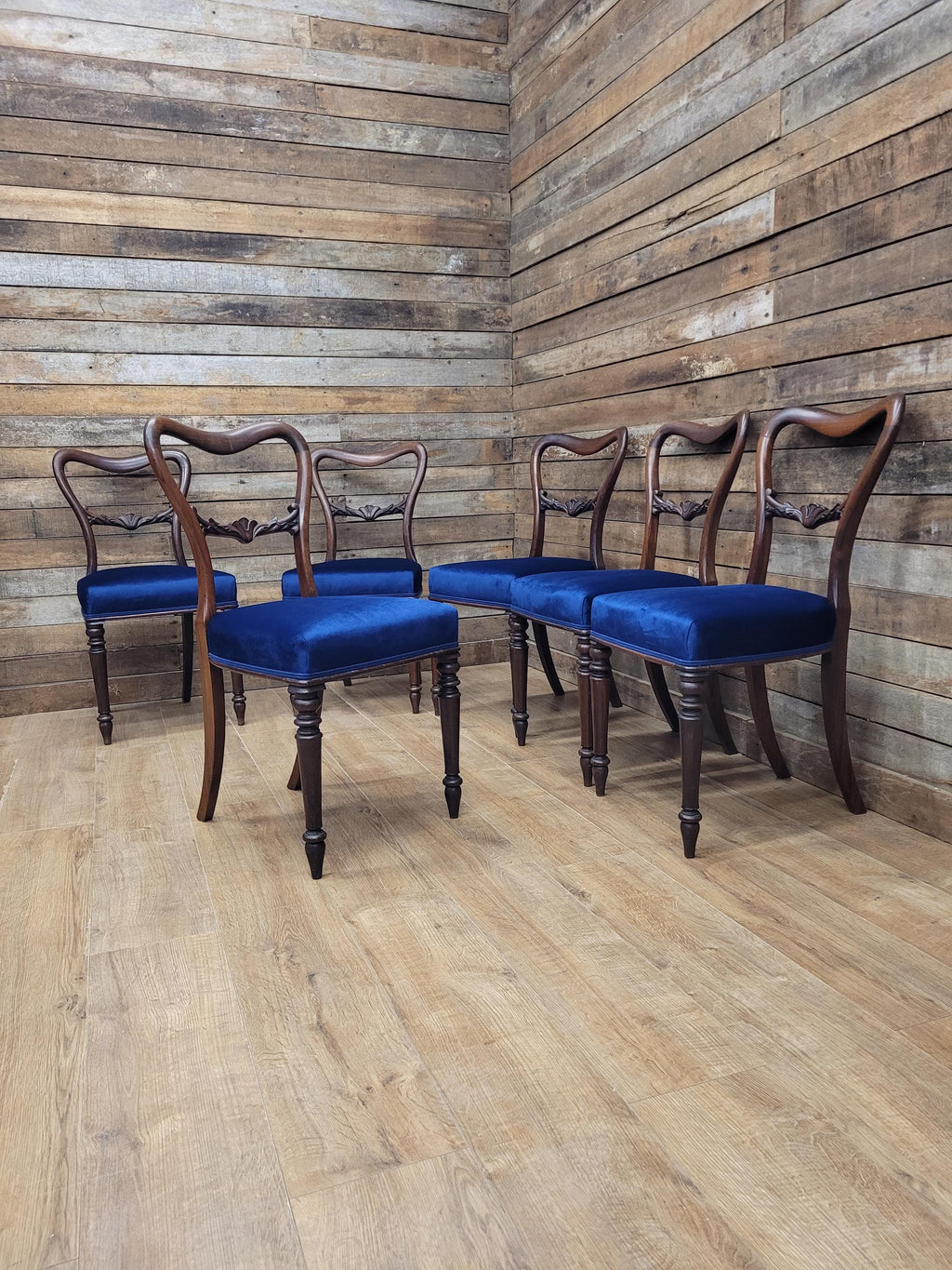 Six Mahogany Victorian Dining Chairs Balloon Back Blue Velvet Upholstered