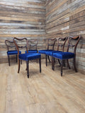 Six Mahogany Victorian Dining Chairs Balloon Back Blue Velvet Upholstered
