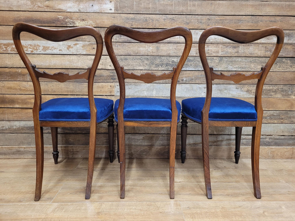 Six Mahogany Victorian Dining Chairs Balloon Back Blue Velvet Upholstered