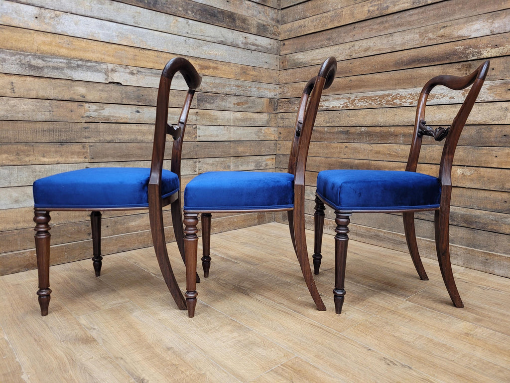 Six Mahogany Victorian Dining Chairs Balloon Back Blue Velvet Upholstered