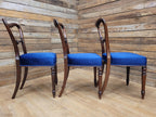 Six Mahogany Victorian Dining Chairs Balloon Back Blue Velvet Upholstered