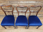 Six Mahogany Victorian Dining Chairs Balloon Back Blue Velvet Upholstered