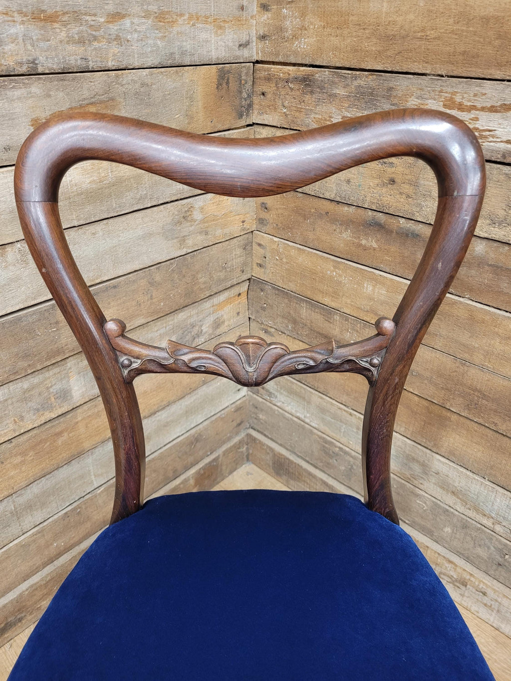 Six Mahogany Victorian Dining Chairs Balloon Back Blue Velvet Upholstered