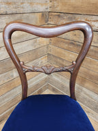 Six Mahogany Victorian Dining Chairs Balloon Back Blue Velvet Upholstered