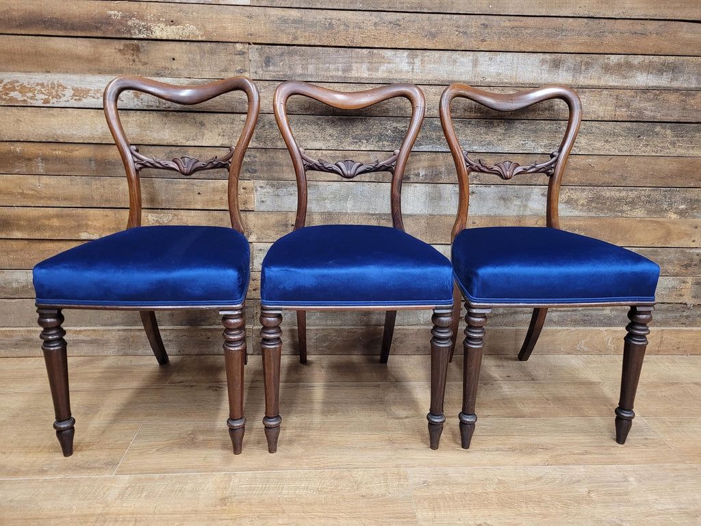 Six Mahogany Victorian Dining Chairs Balloon Back Blue Velvet Upholstered