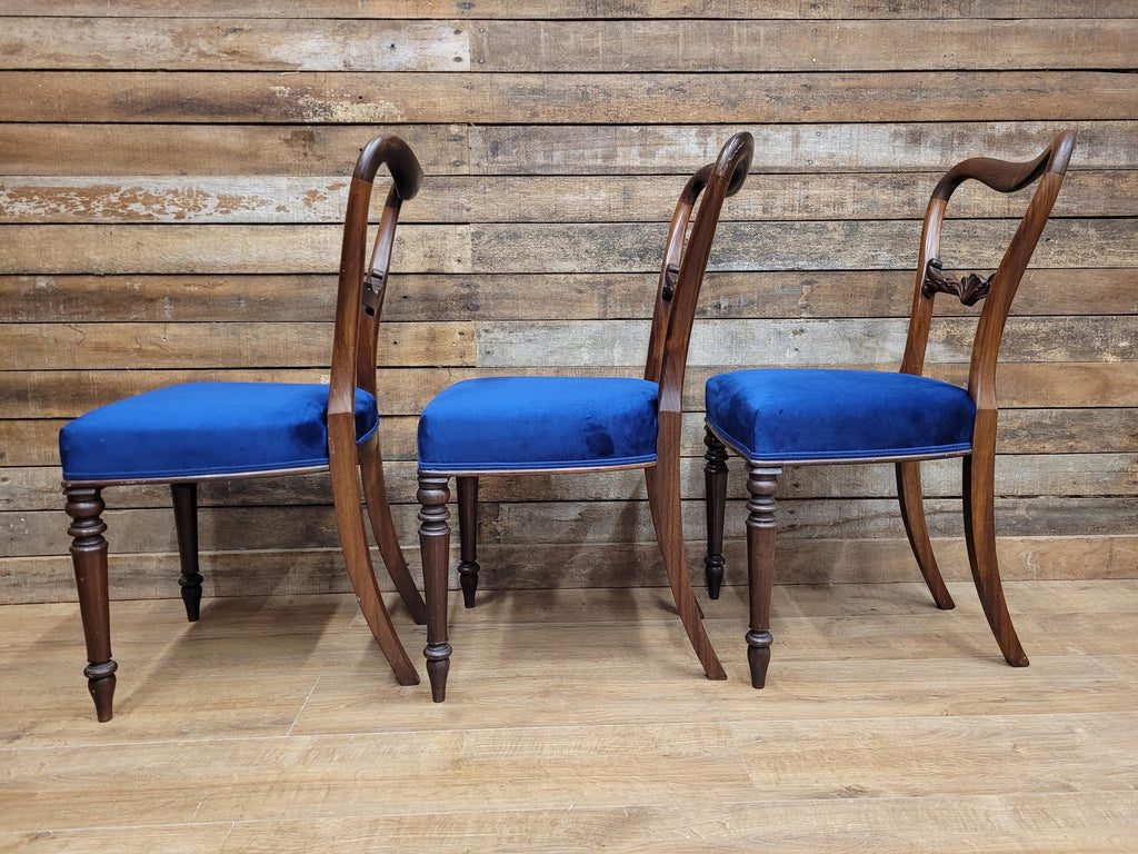 Six Mahogany Victorian Dining Chairs Balloon Back Blue Velvet Upholstered