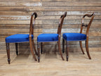 Six Mahogany Victorian Dining Chairs Balloon Back Blue Velvet Upholstered
