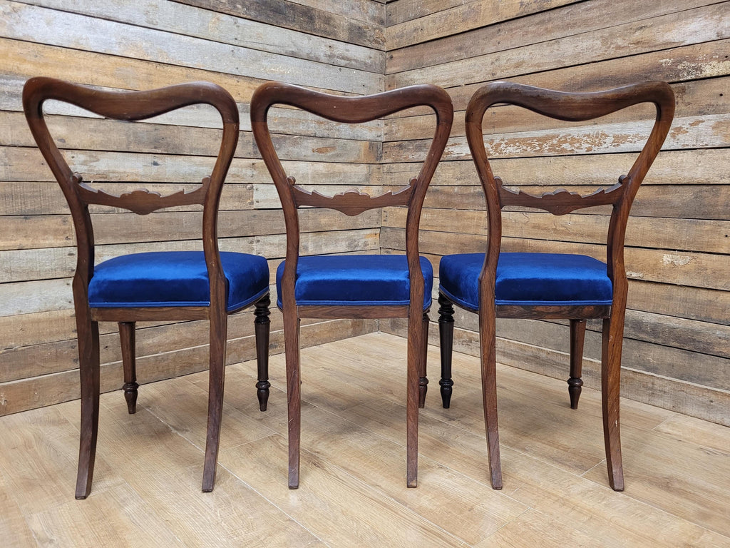 Six Mahogany Victorian Dining Chairs Balloon Back Blue Velvet Upholstered