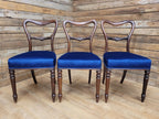 Six Mahogany Victorian Dining Chairs Balloon Back Blue Velvet Upholstered