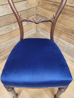 Six Mahogany Victorian Dining Chairs Balloon Back Blue Velvet Upholstered