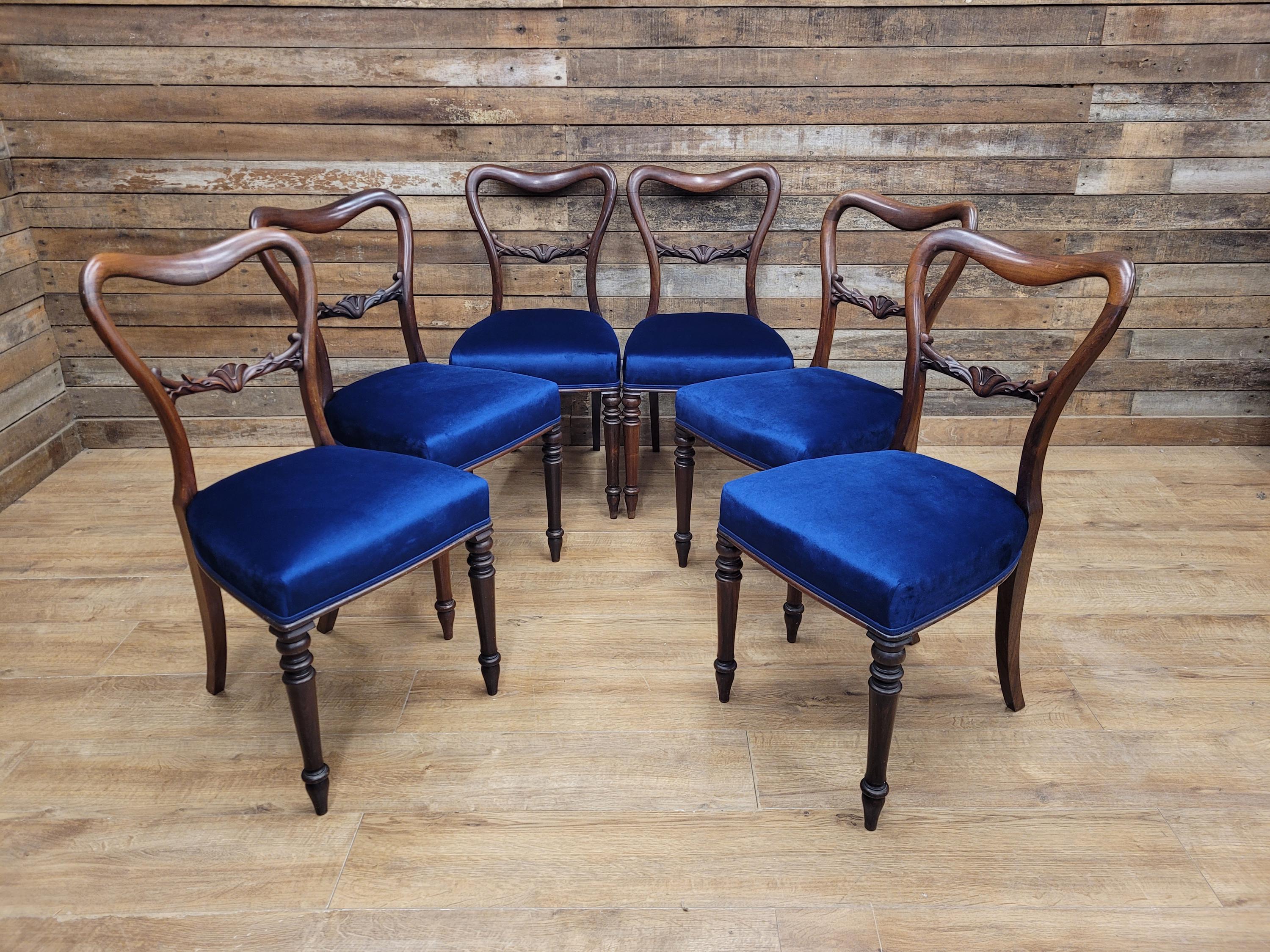 Six Mahogany Victorian Dining Chairs Balloon Back Blue Velvet Upholstered