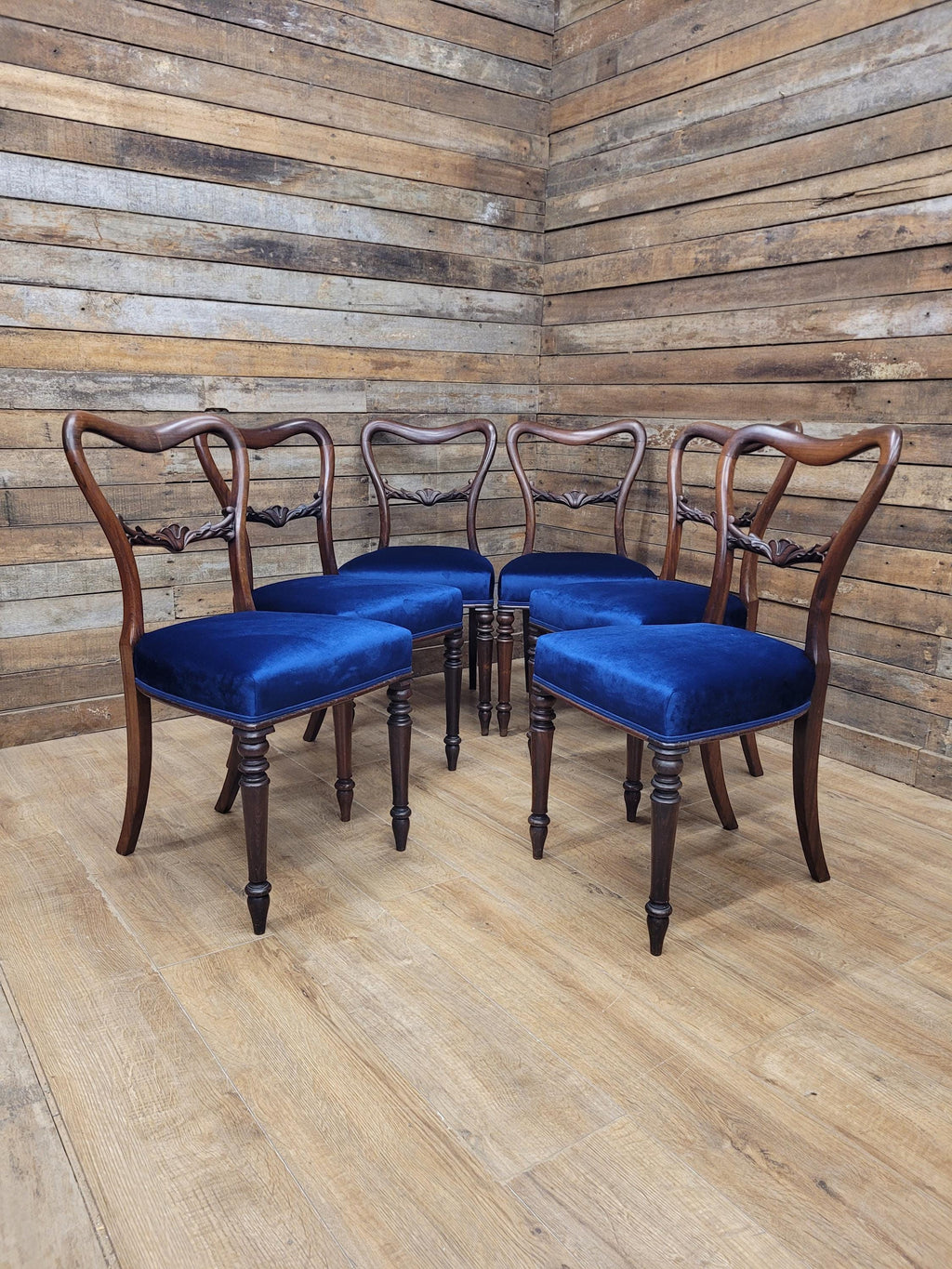 Six Mahogany Victorian Dining Chairs Balloon Back Blue Velvet Upholstered