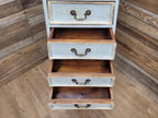 Tall Nine Drawer Painted Apothecary Style Chest Of Drawers Cabinet