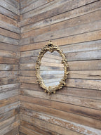 Oval Wall Mirror Gold Plaster Rococo Style Ornate Floral Frame