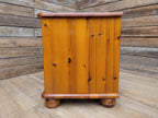 Pine Blanket Box Storage Chest Country Style Panelled Front Bun Feet